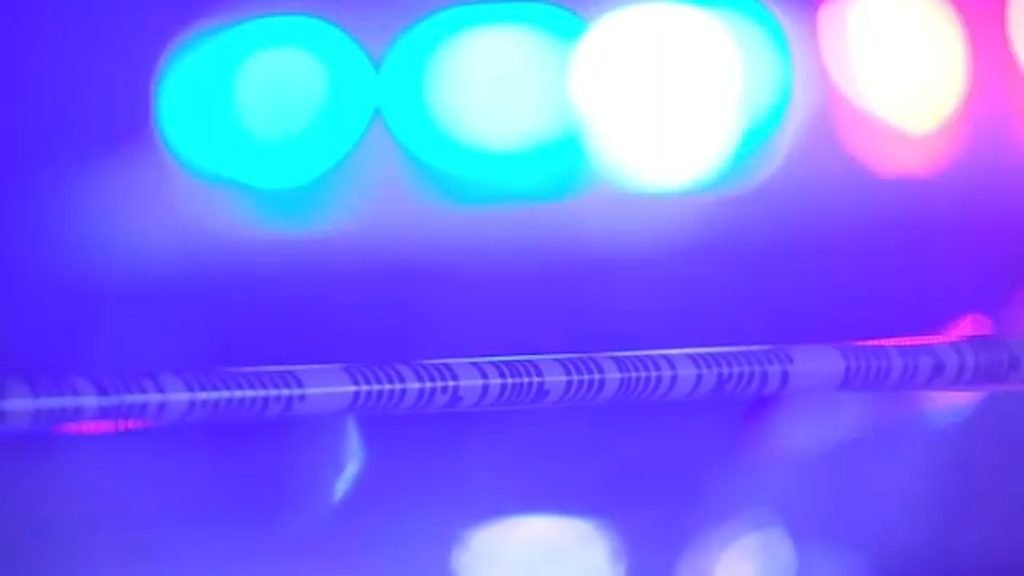 Kia car hack: 2 teenagers arrested in Dover, Delaware for alleged attempted car theft, resisting arrest - WPVI-TV