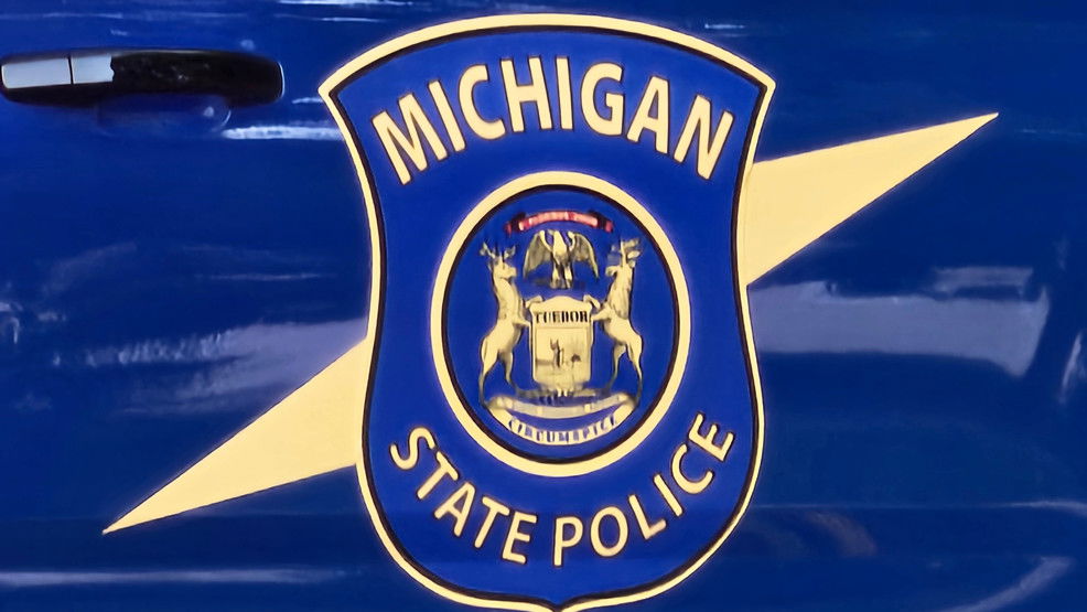 West Michigan driver, dogs die in St. Joseph County car crash - WWMT-TV