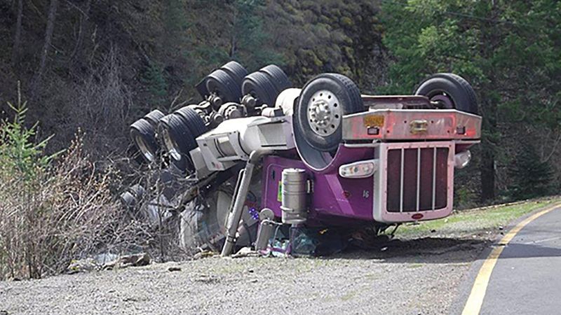 Over 100,000 salmon fell of a truck in Oregon – and into a creek - CNN