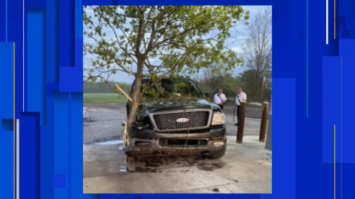 Michigan teen drives to gas station with tree lodged in pickup truck - WDIV ClickOnDetroit