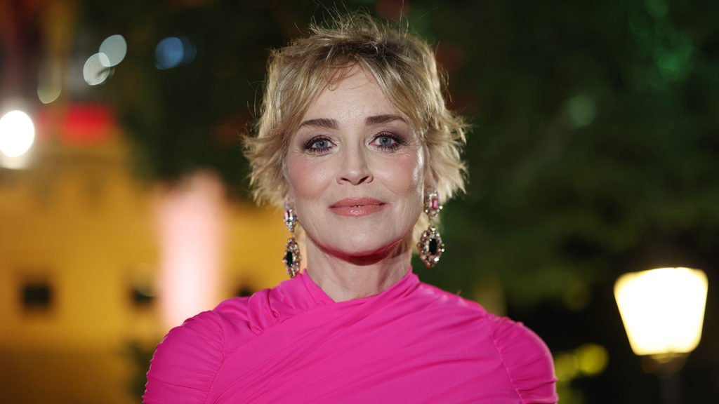 Sharon Stone sued for allegedly causing car crash in Los Angeles - Fox Business