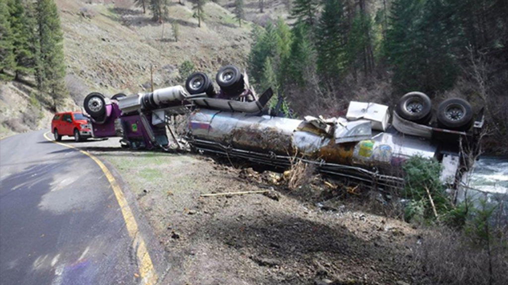 77000 baby salmon survive truck crash in Oregon by leaping into nearby creek - Livescience.com