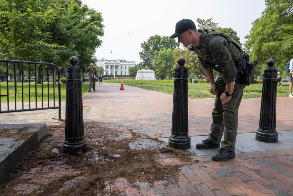 Nazi flag-bearing man who crashed a truck into barriers near the White House pleads guilty to felony - Yahoo! Voices