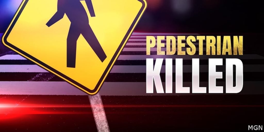 4-year-old dies after being hit by truck in Walton County - WJHG