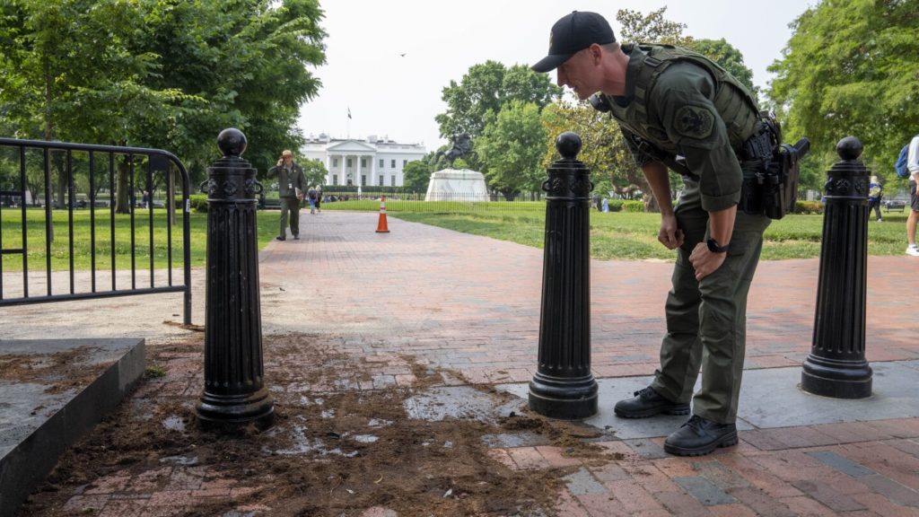 Nazi flag-bearing man who crashed a truck into barriers near the White House pleads guilty to felony - The Associated Press