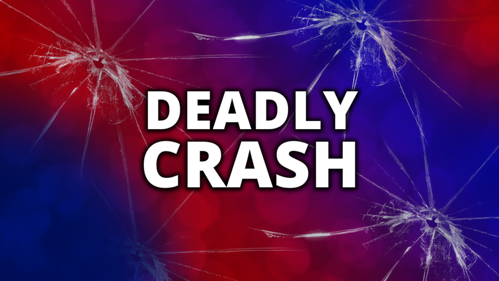 One person dead following motorcycle crash in McDuffie County - WJBF-TV