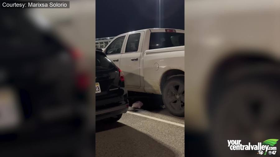 Blood leaking from truck at Fresno's airport: What was it from? - Yahoo! Voices