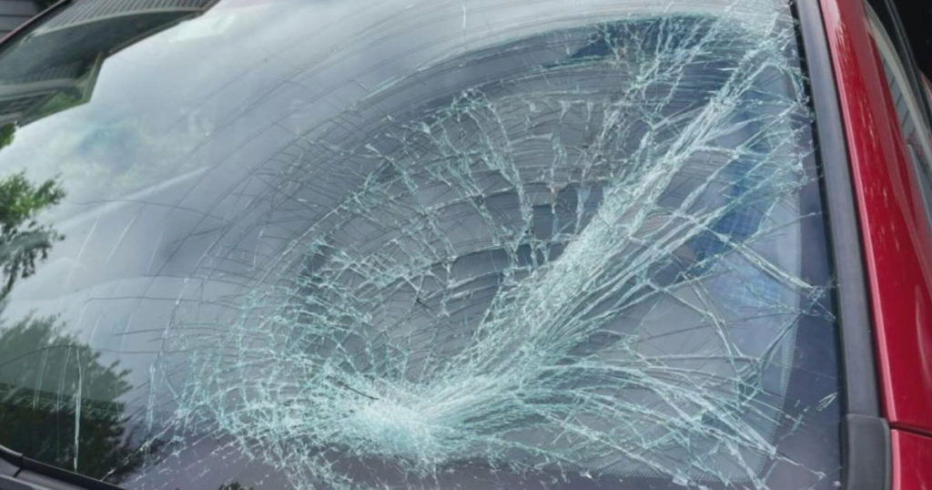 Turkey flies into Pepperell couple's car, leaving smashed windshield in its wake - CBS Boston