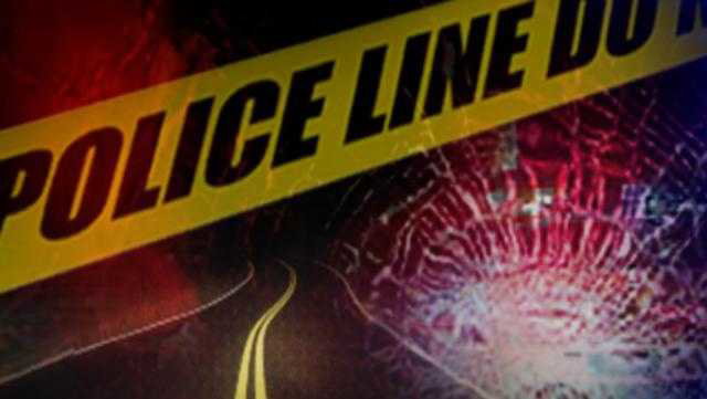 Highway patrol: one person dead after car hits tree near South Carolina 46 - WJCL News Savannah