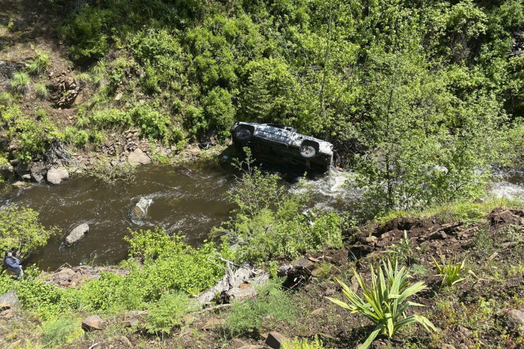 A dog helped his owner get rescued after a car crash in a remote, steep ravine in Oregon - Yahoo! Voices