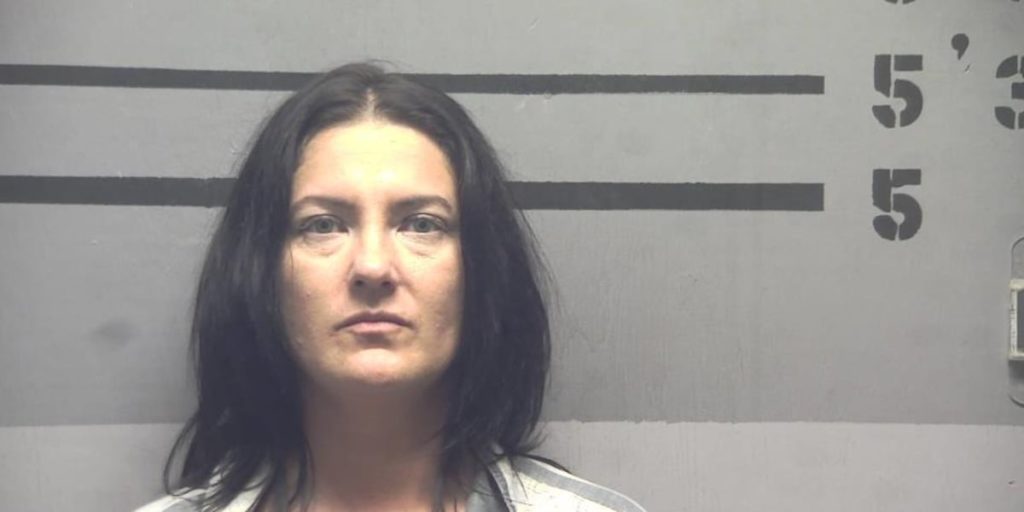 HCSO: Good deed goes wrong after Evansville woman steals car, leads police on chase - 14 News WFIE Evansville