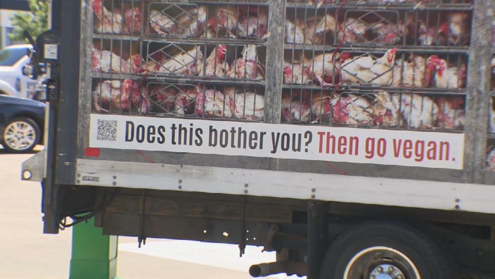 PETA's 'Hell on Wheels' truck protest targets Raising Canes in Tulsa - KTUL