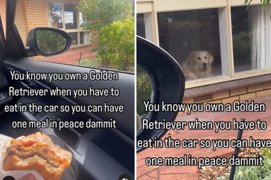 Man Forced to Eat in the Car Films Reason He Can't Have 'One Meal in Peace' - Newsweek