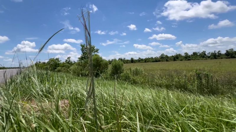 Trucker finds abandoned 1-year-old boy alive along highway a day after his sibling was found dead, authorities say - CNN